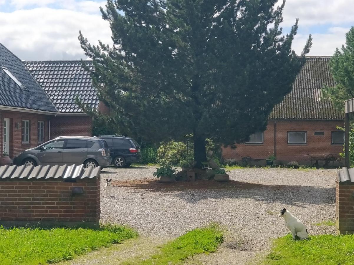 Kristinebjerg Apartment Jelling Екстериор снимка